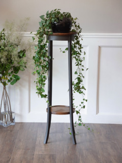 マホガニープラントスタンド