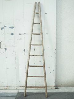 ペイントアップルラダー