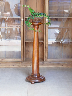 マホガニープラントスタンド