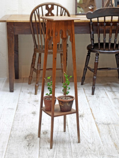 パインプラントスタンド